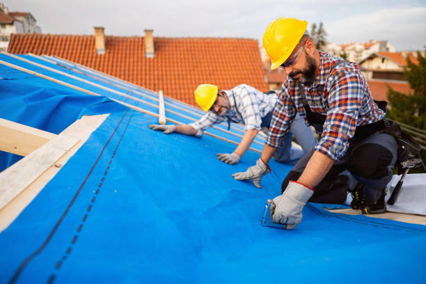 Best Roof Moss and Algae Removal  in Hardinsburg, KY